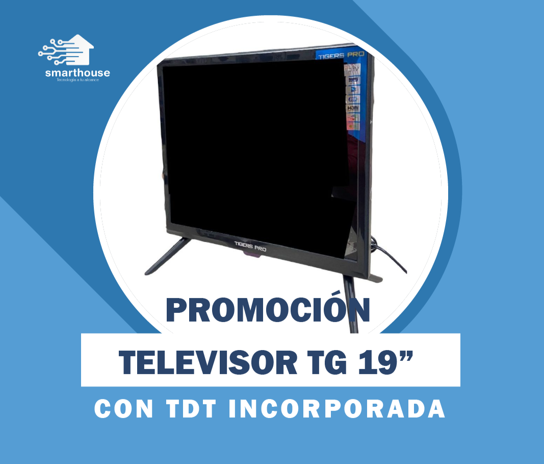 Televisor TG 19 (pulgadas) TDT  Incorporada Conexión 110/12v